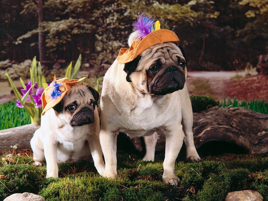 Springtime Excursion